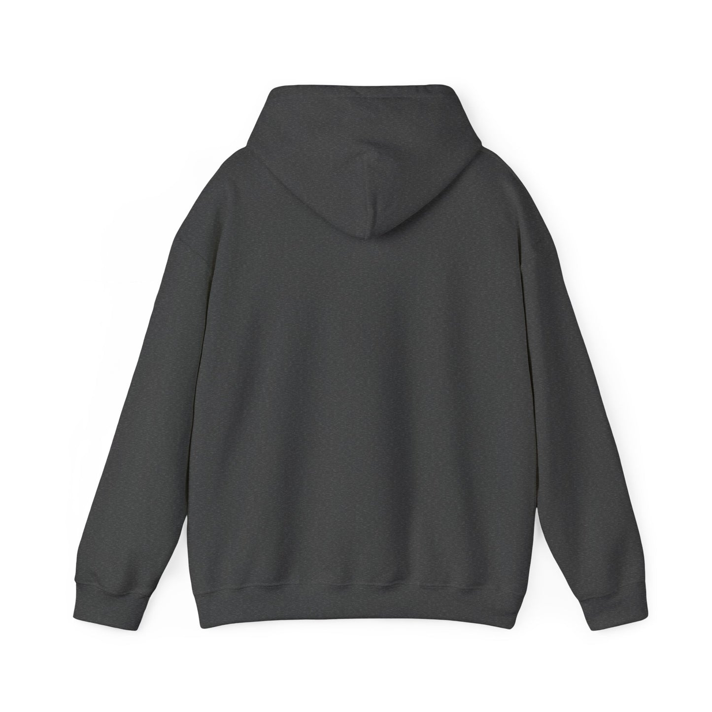 Rough Ride Cowboy Hoodie