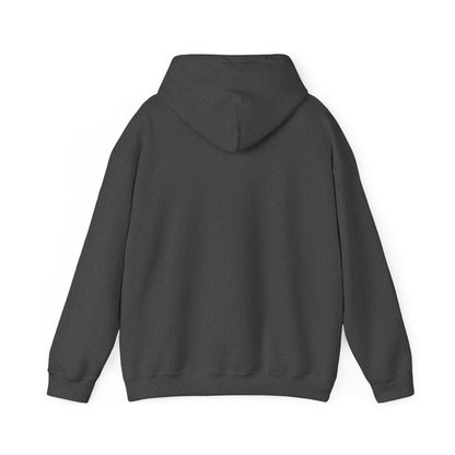 Rough Ride Cowboy Hoodie