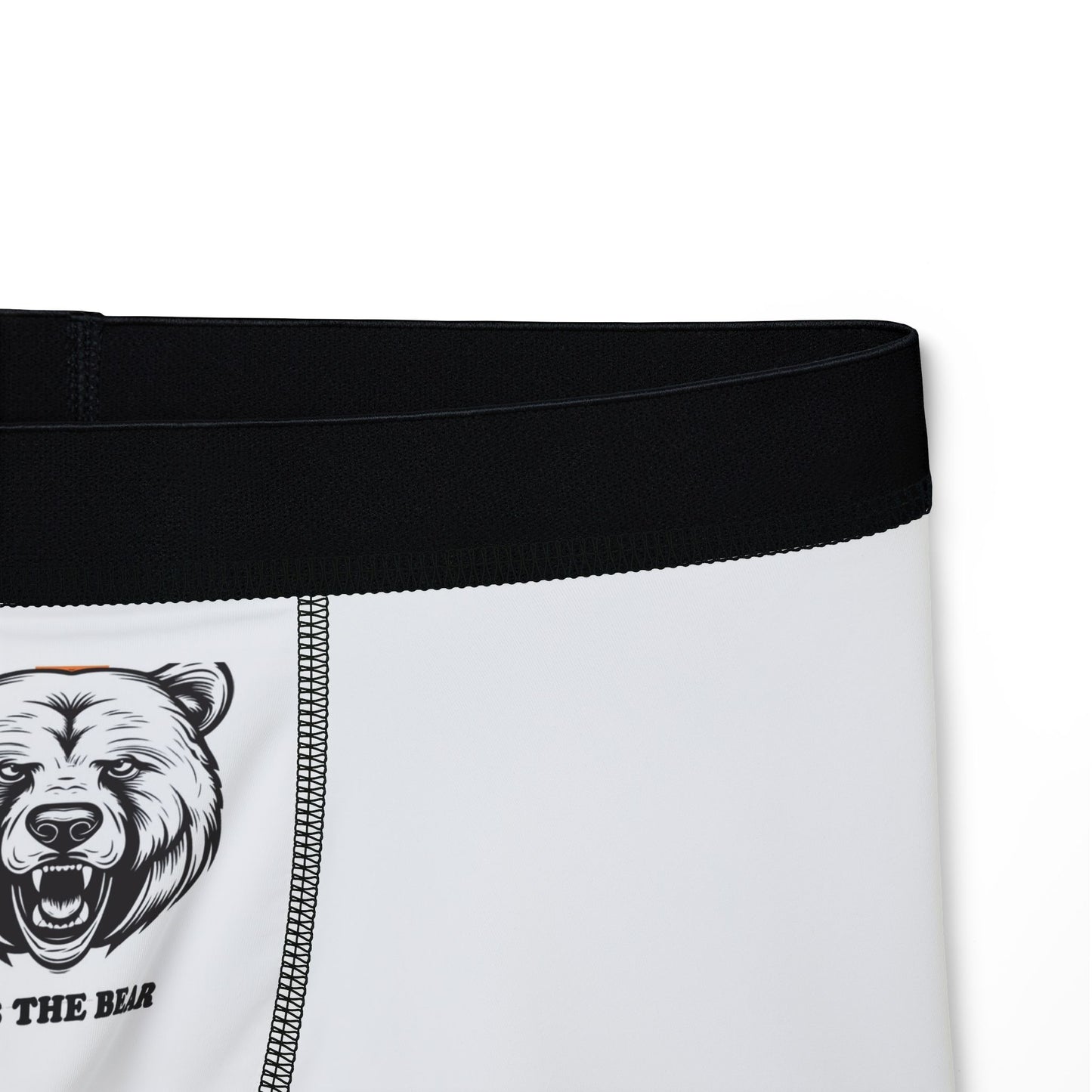 Bear Men's Boxer Briefs