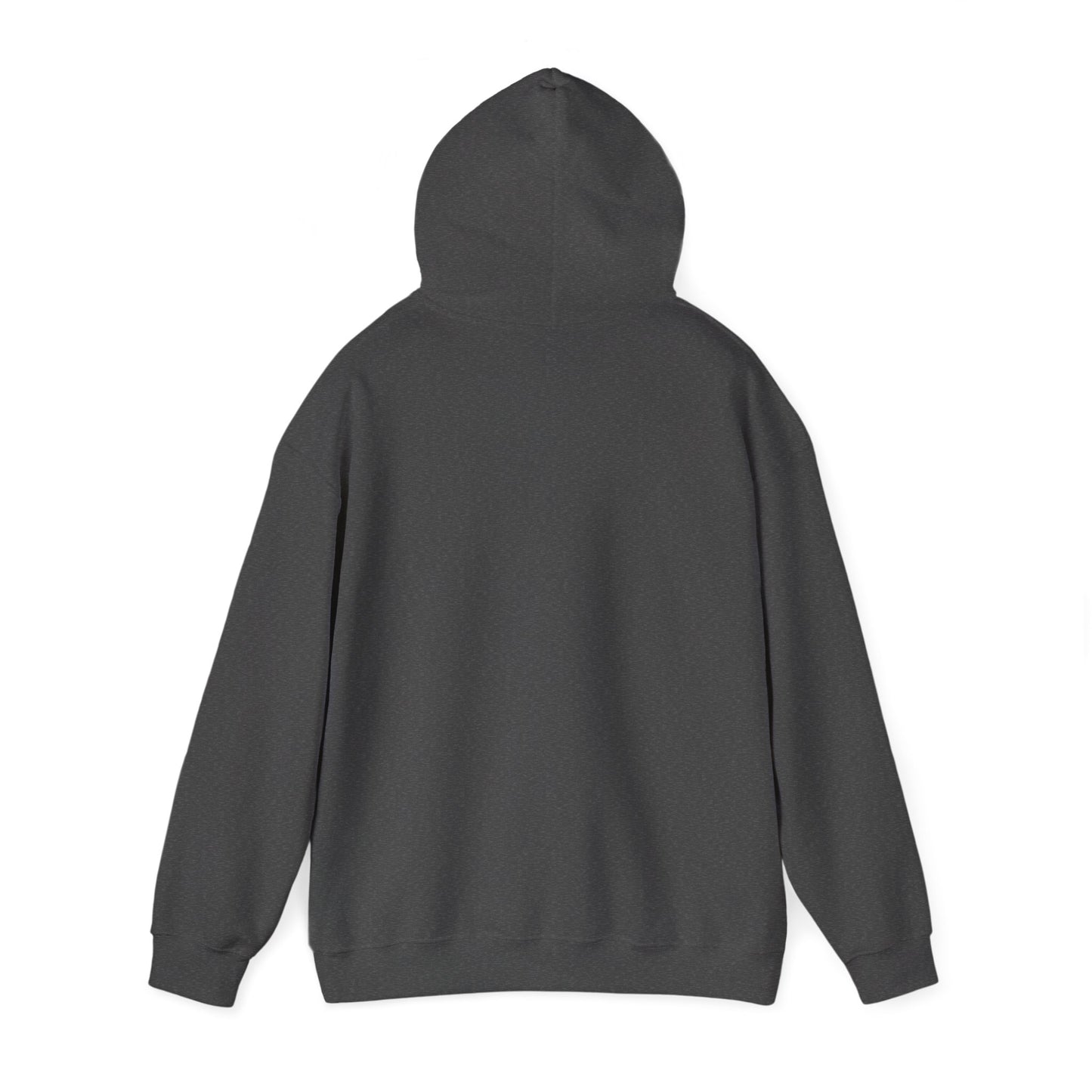 Rough Ride Cowboy Hoodie