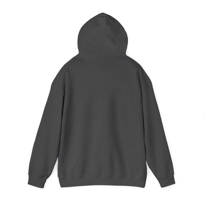 Rough Ride Cowboy Hoodie